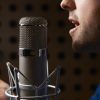 Record a professional voice over / voice-over