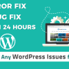 Do customization or bug fixing on your wordpress site